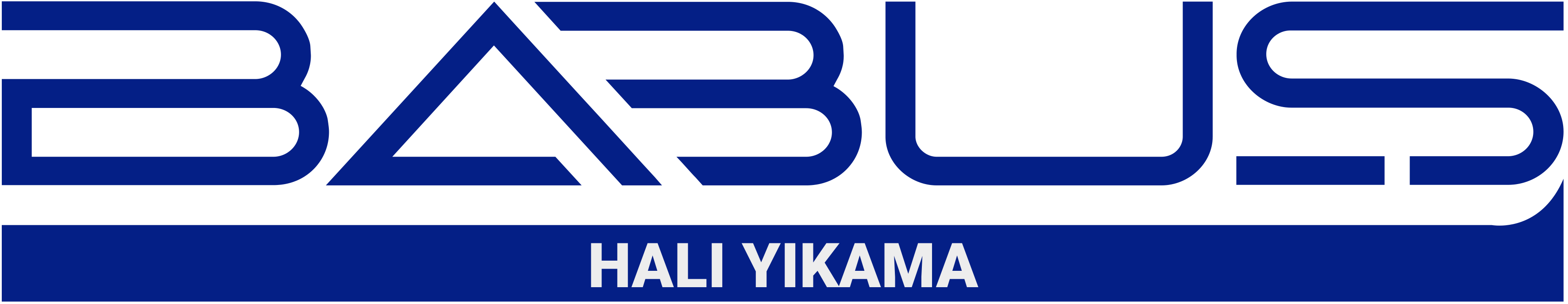 Babuş Halı Yıkama